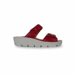 SABATINI Mules Pour Femme S1068